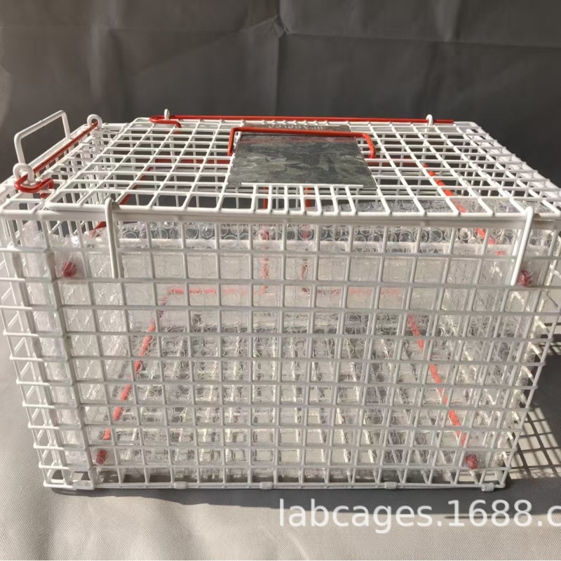 Pet Restraint Cage Veterinary  - Travel Accessories Dropshipping 评论和价格